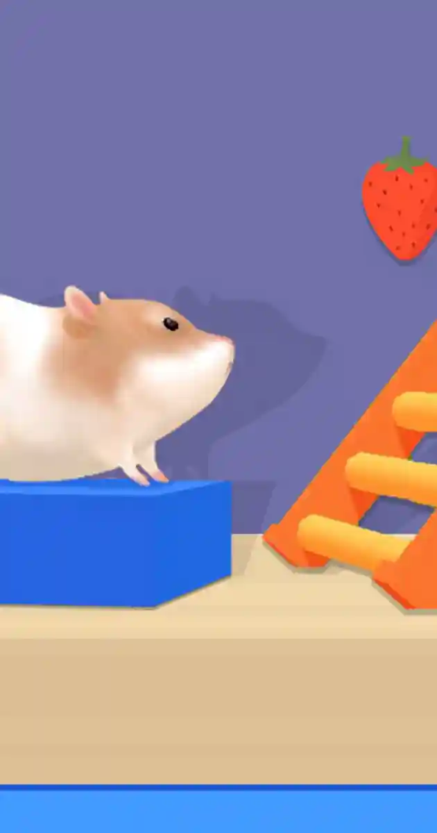 Hamster Maze Online - Free Online Games - play on unvgames