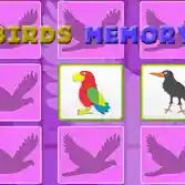 Kids Memory with Birds