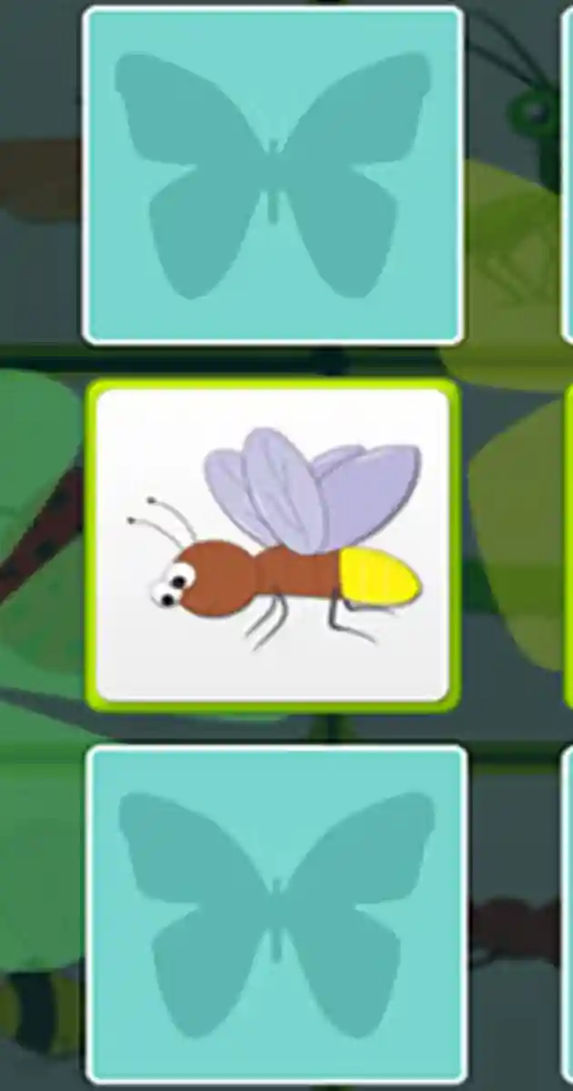 Kids Memory with Insects - Free Online Games - play on unvgames